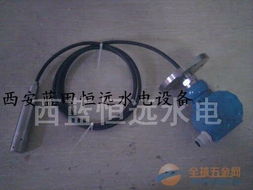 水电设备 ltj31电缆投入式液位变送器厂家 图片 报价 资料 说明